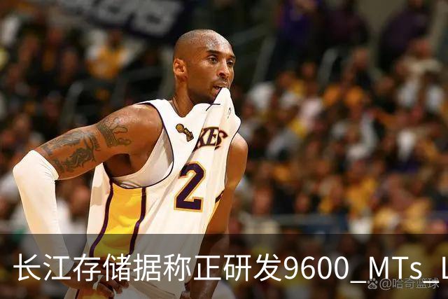 长江存储据称正研发9600 MT/s LPDDR5X内存 计划推进量产